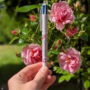 Prieuré Saint-Cosme - Demeure de Ronsard